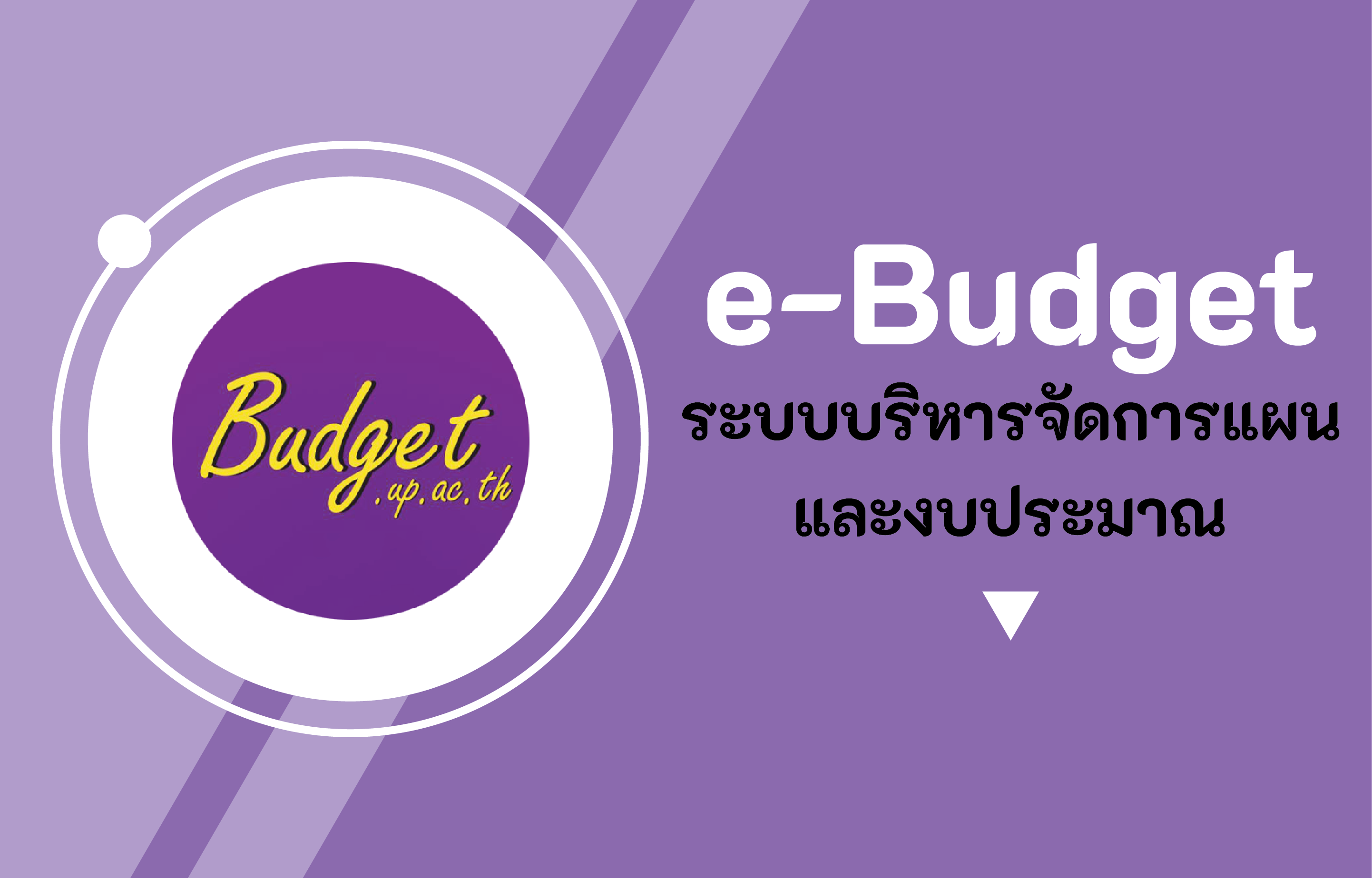 e-Budget