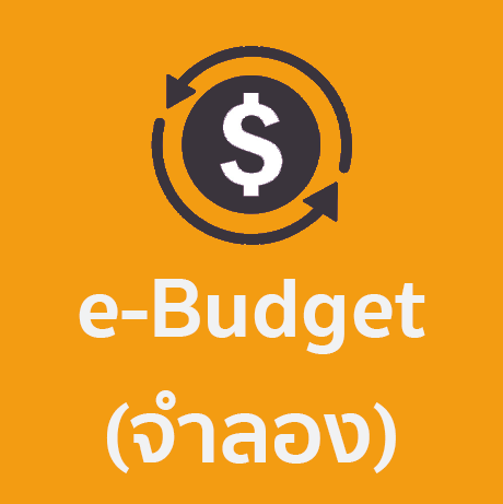 e-budget (จำลอง)