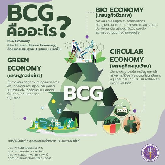 What is BCG?