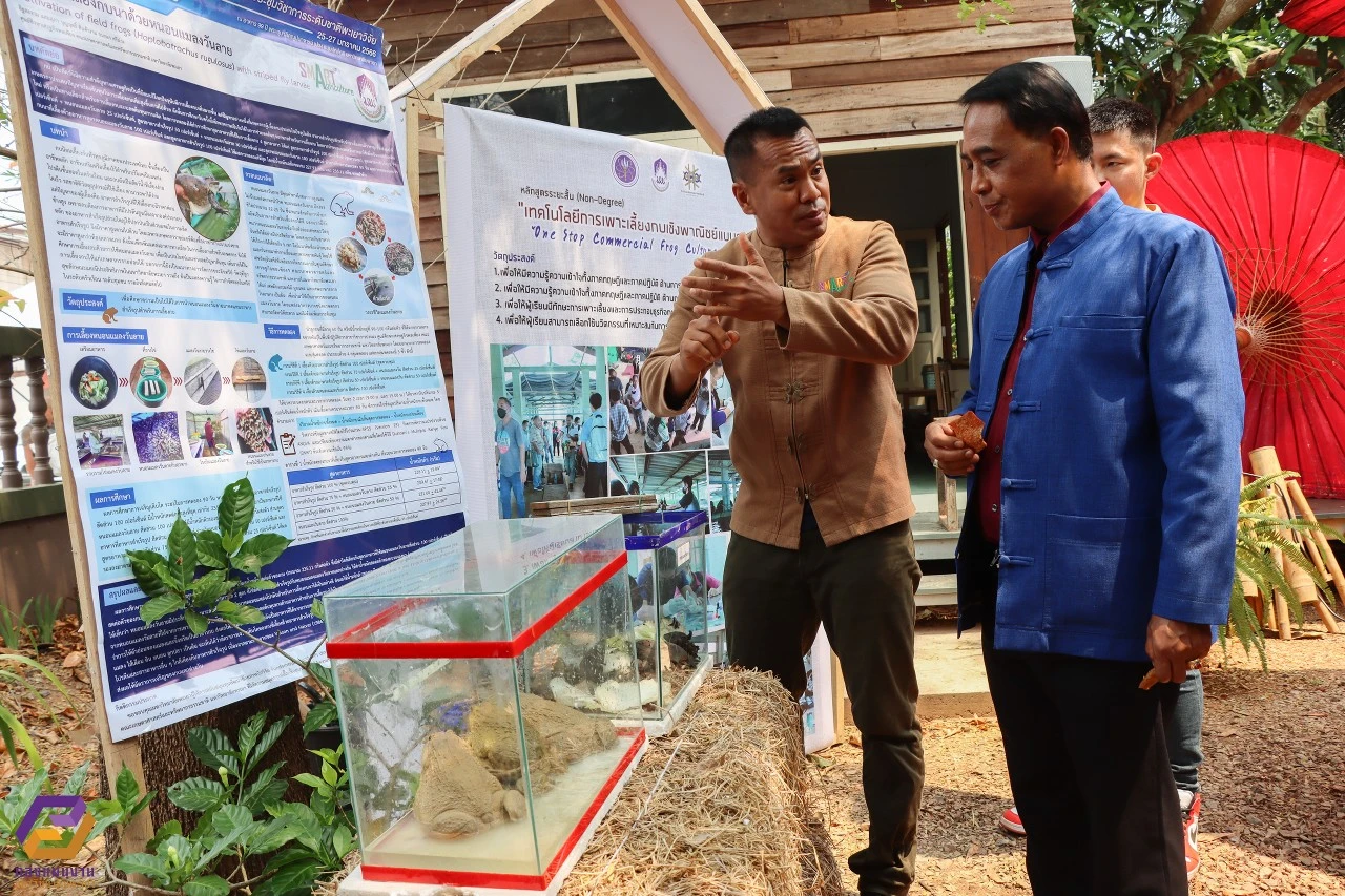 University of Phayao Hosts Lifelong Learning Community Innovation Exhibition