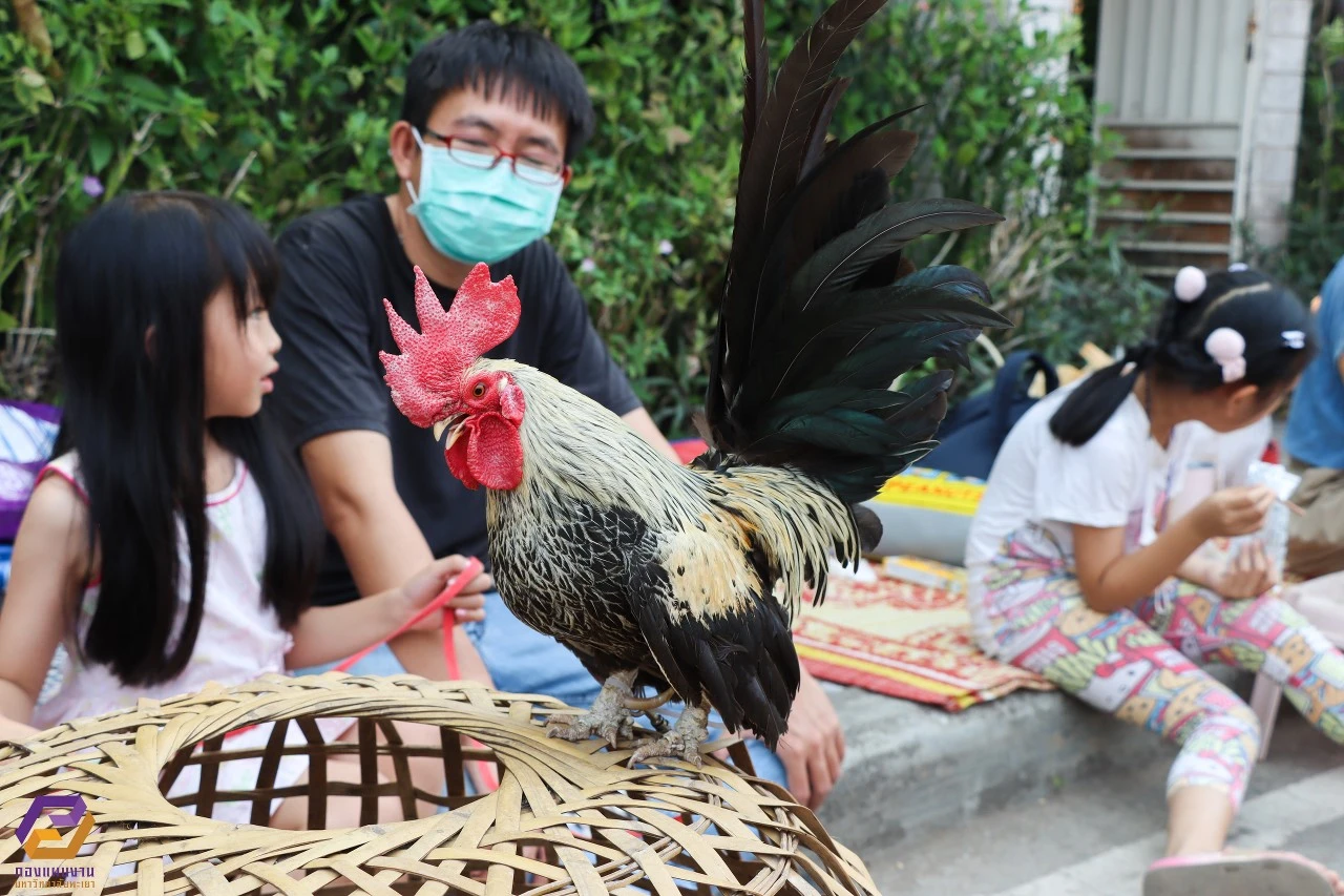 University of Phayao Hosts Lifelong Learning Community Innovation Exhibition