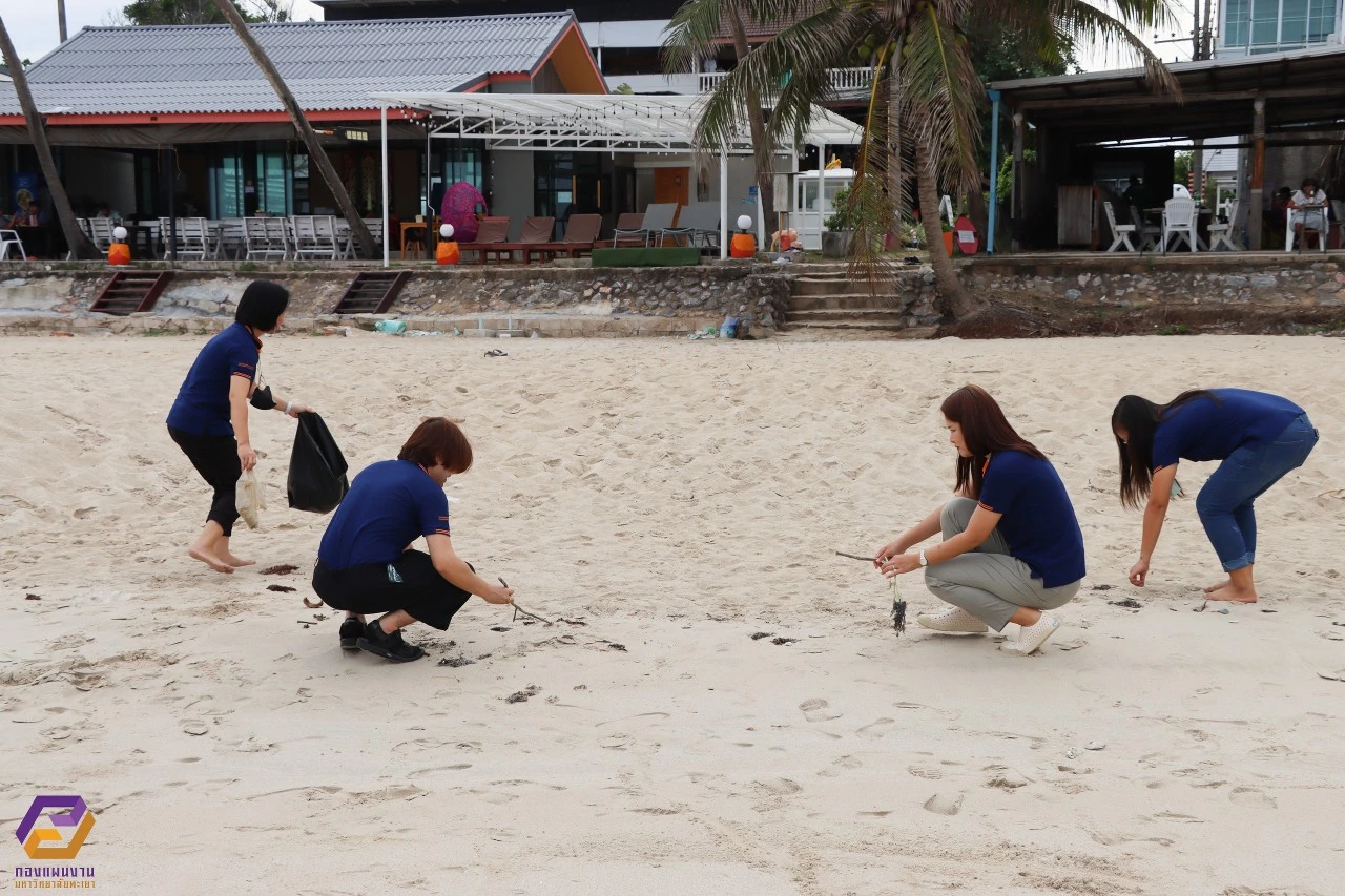 The Planning Division of the University of Phayao Organized a Knowledge Development Project for Excellence and Corporate Social Responsibility (CSR) Activities for Volunteer Coastal Waste Management and Landscape Development