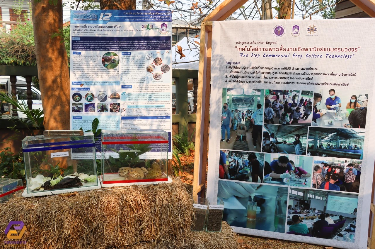 University of Phayao Hosts Lifelong Learning Community Innovation Exhibition