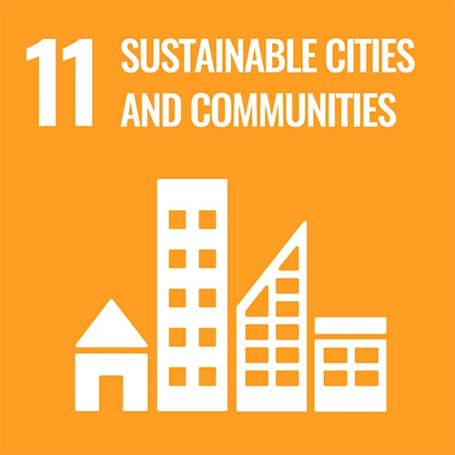 SDG11