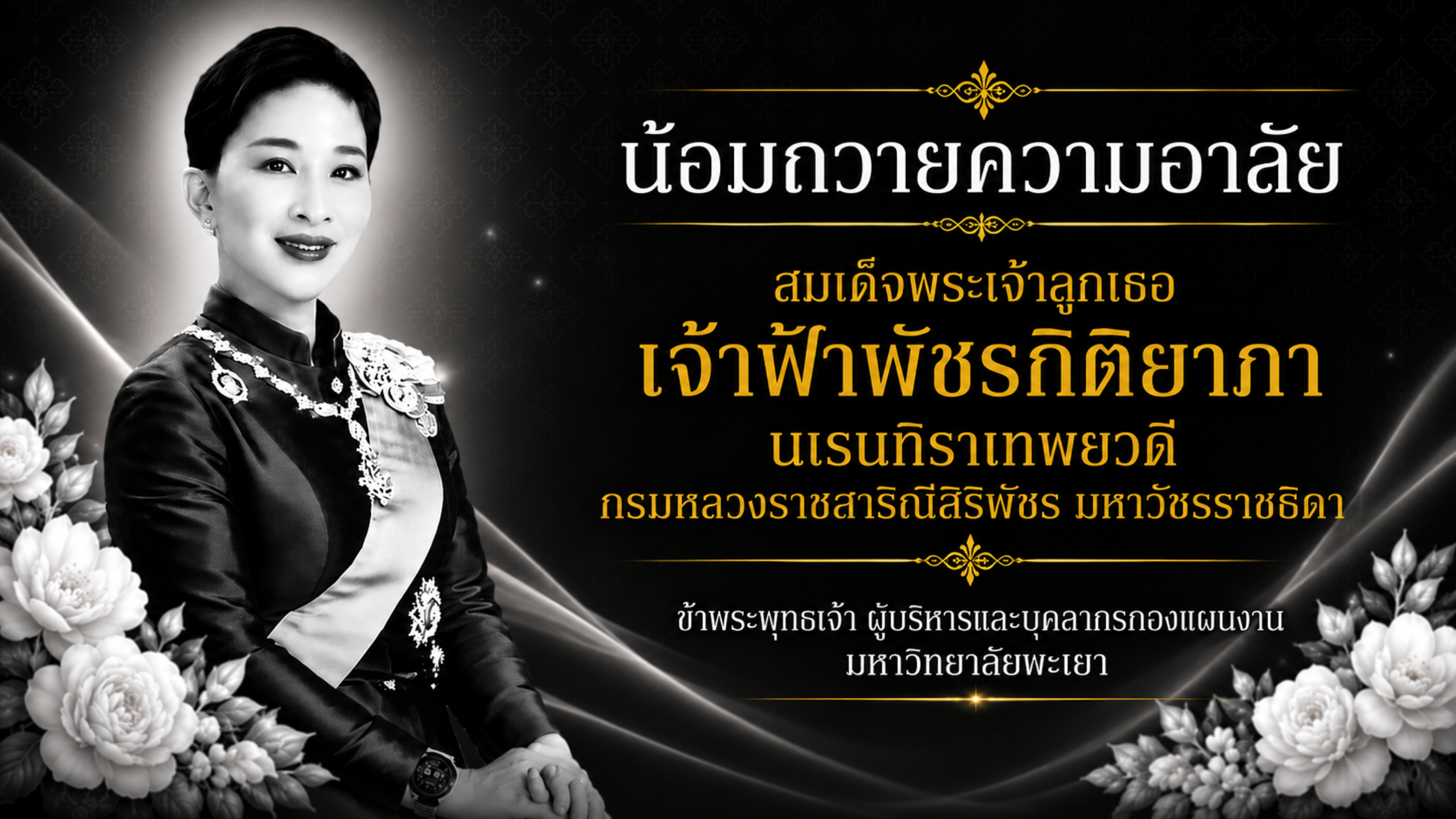 Planning Division, University of Phayao