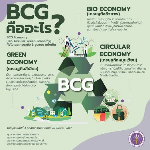 BCG คือ อะไร?