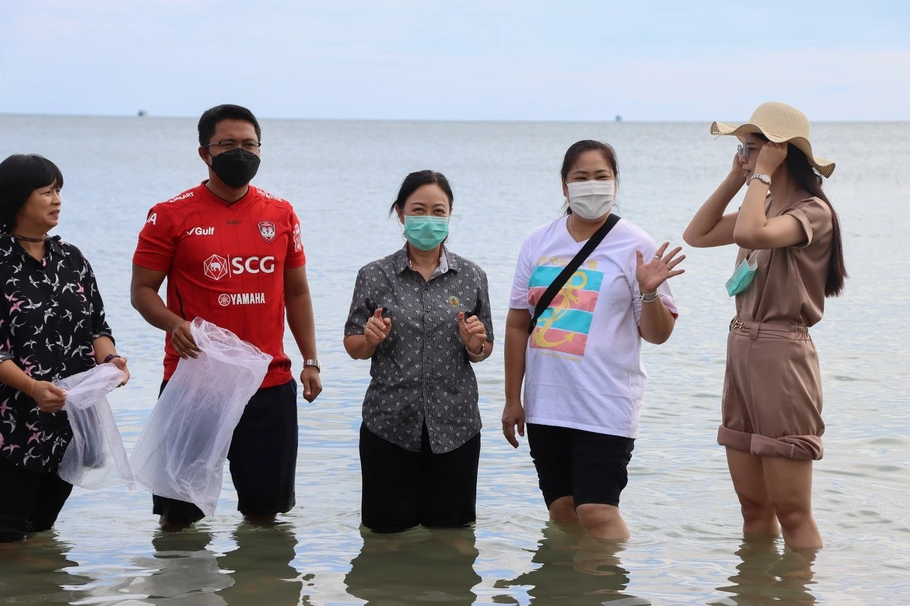 มหาวิทยาลัยพะเยา จัดโครงการประชุมทบทวนแผนยุทธศาสตร์การพัฒนามหาวิทยาลัยและการเชื่อมโยงแผนยุทธศาสตร์ฯ กับเป้าหมายการพัฒนาที่ยั่งยืน (Sustainable Development Goals : SDGs)