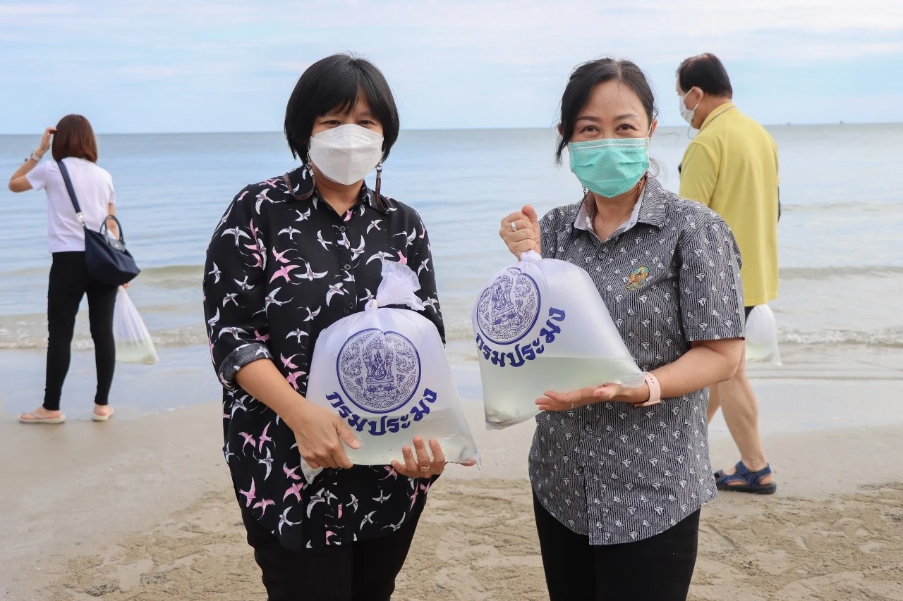 มหาวิทยาลัยพะเยา จัดโครงการประชุมทบทวนแผนยุทธศาสตร์การพัฒนามหาวิทยาลัยและการเชื่อมโยงแผนยุทธศาสตร์ฯ กับเป้าหมายการพัฒนาที่ยั่งยืน (Sustainable Development Goals : SDGs)