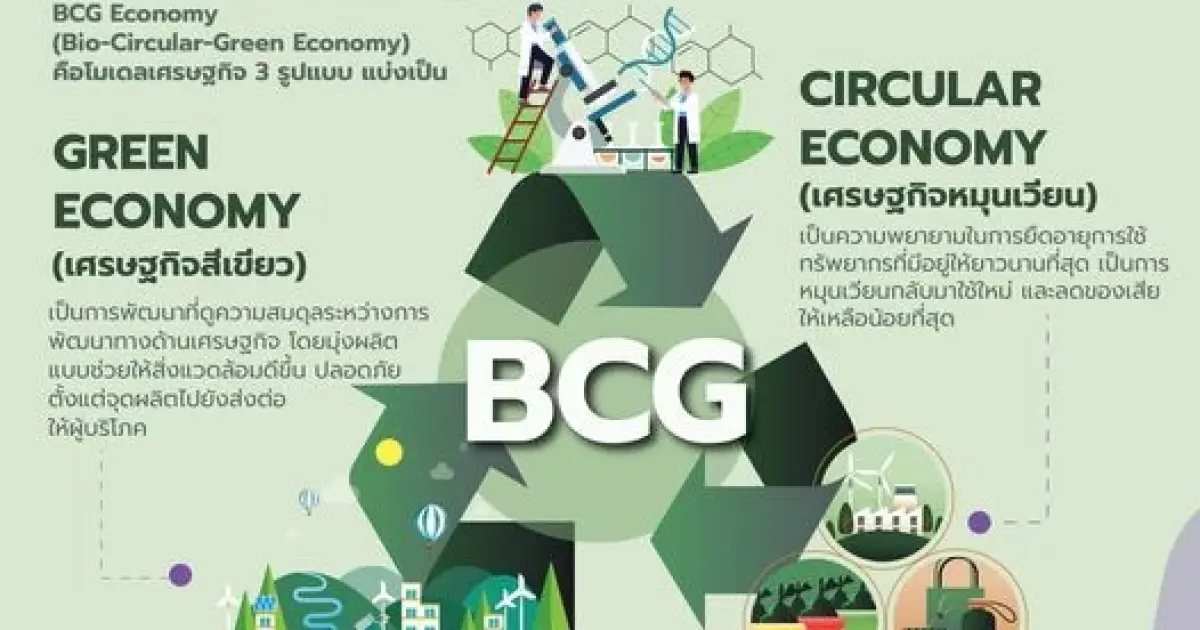BCG คือ อะไร?